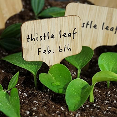OBTANIM 75 Pack Bamboo T-Type Plant Labels with A Marker Pen, Garden Markers Sign Plant Tags for Seedling Potted Herbs Flowers Vegetables - Image 5