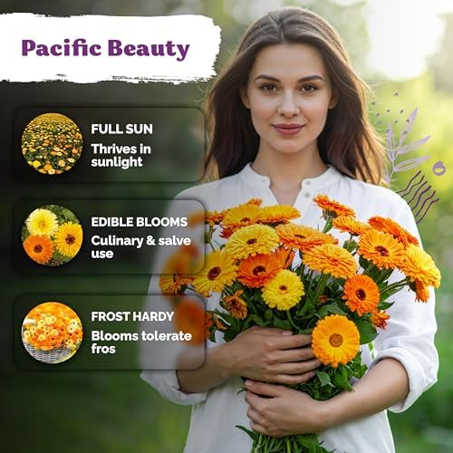 1500 Mix Pacific Beauty Calendula Seeds for Planting, Calendula Officinalis - Image 4
