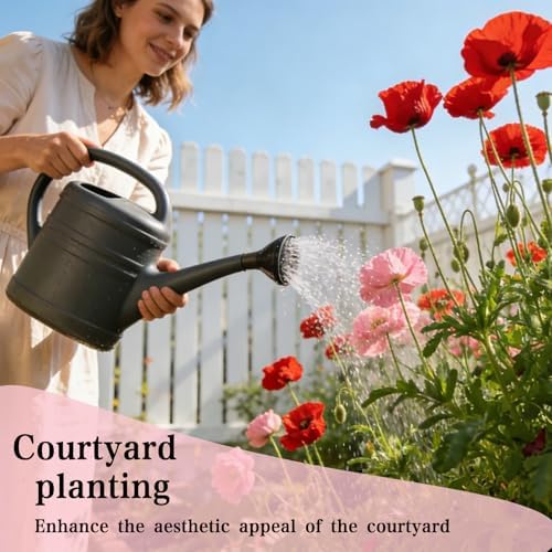 Corn Poppy Seeds for Planting Outdoor, 20,000 Heirloom Flower Seeds, Annual - Image 4