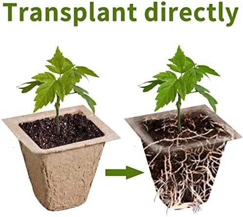 200 Cells Seed Starter Tray, 20 Pack Biodegradable Seed Starter Kit, Peat Pots for Seedlings with 200 Plant Labels, 2 Seed Planting Tool and 1 Spray Bottle - Image 5