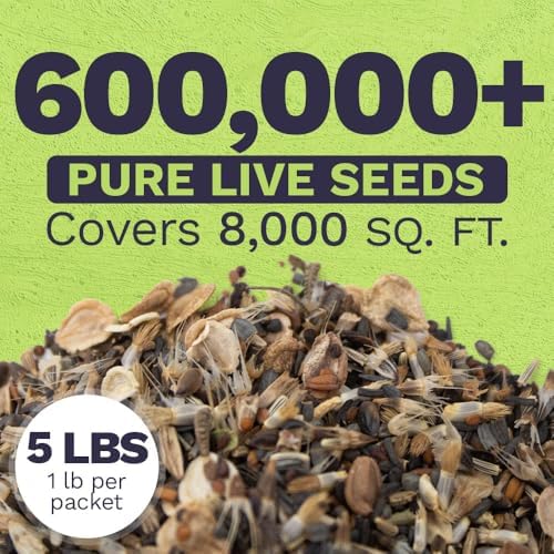 Drought Tolerant Wildflowers Mix – Bulk 5 Pounds – Over 600,000 Open Pollinated Non-GMO Seeds – 21 Different Dryland Species - Image 3