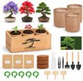 Bonsai Tree Growing Kit for Beginners, 3 Seed Varieties, by BuggyBeds