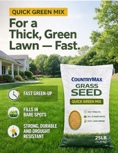 50 LB Quick Green Grass Seed - Image 3
