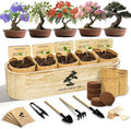 Bonsai Tree Kit for Beginners - Unique Gifts for Women, Crafts for Adults, for Women & Men,Complete Indoor Plant Kit,Easy House Plant by LUOJIBIE