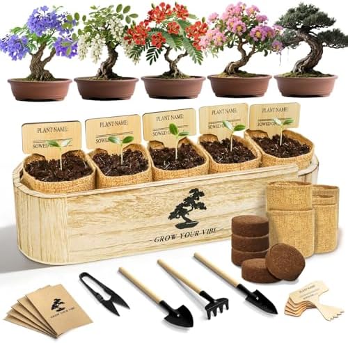 Bonsai Tree Kit for Beginners - Unique Gifts for Women, Crafts for Adults, for Women & Men,Complete Indoor Plant Kit,Easy House Plant by LUOJIBIE