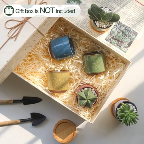 T4U Mini Succulent Pots, Small Ceramic Planters, Retro Gift Set of 6 - Image 5