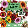 1500 SVI Painted Daisy Seeds (Chrysanthemum Carinatum) – Daisy Seed Packets Bulk, Chrysanthemum Flowers Seed Mix Wildflowers – Annual Cut Flower Seeds for Outdoor Garden, Flower Garden, Containers by SVI