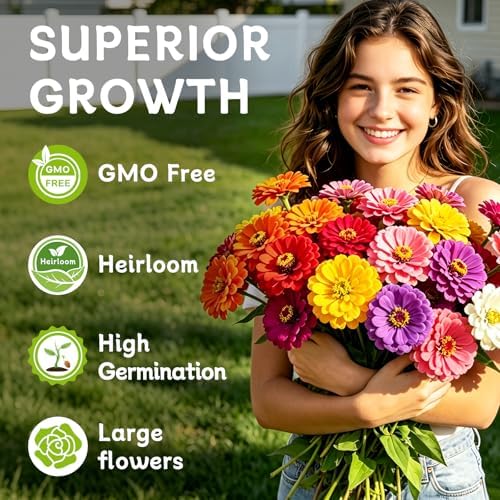 LUOJIBIE Zinnia Seeds for 2027, 6,000+ California Giant Zinnia Seeds Bulk, Double Dahlia Zinnia Mixed Color Seeds, Flower Seeds for Planting Outdoor Garden, Non-GMO Heirloom, Easy to Grow - Image 3
