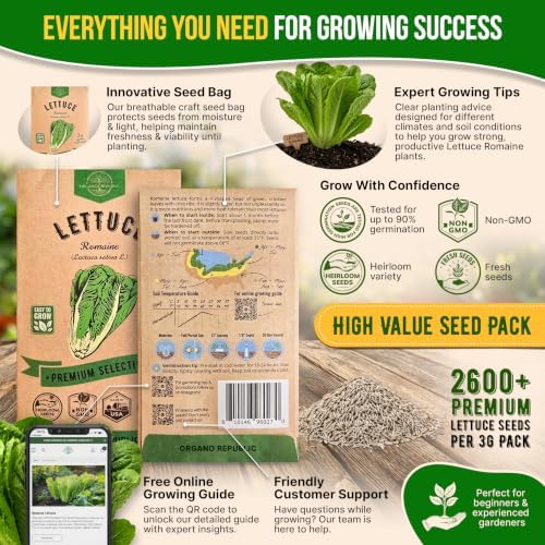 Lettuce Romaine Seeds 3 G - Over 2,600 Non-GMO Heirloom Lettuce Seeds for Planting Greens in Individual Seed Packet - Image 3