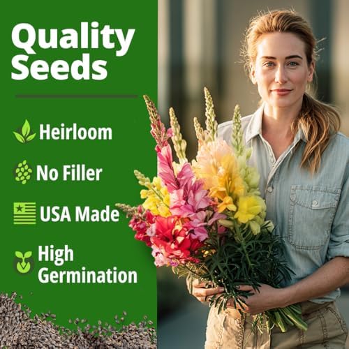 HOME GROWN Snapdragon Seeds, Tetra, 2,000 Seeds, Antirrhinum majus - Image 6
