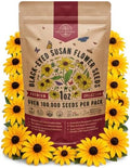 Black Eyed Susan Flower Seeds Pack 1 oz - Over 100,000 Rudbeckia Hirta Seeds Non-GMO Heirloom, Wildflowers in Individual Packet, Home & Garden Planting Indoor & Outdoor Gardening by OrganoRepublic