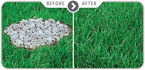 Scotts PatchMaster Lawn Repair Mix Sun + Shade Mix, Combination Grass Seed, Fertilizer, and Mulch, 4.75 lbs. - Image 2