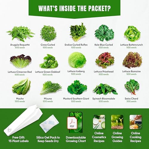20 Vegetable + 15 Lettuce & Salad Greens + 15 Sweet & Hot Pepper Seeds Variety Pack Bundle 11950+ Non-GMO Heirloom Garden Seeds for Planting - Image 3