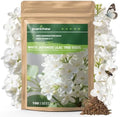 White Japanese Lilac Tree Seeds - 100 Heirloom Seeds for Planting, Fragrant Flowering Tree for Pollinator Gardens, Landscaping & Privacy Screens, USDA Zones 3-7 by PLANTMEW