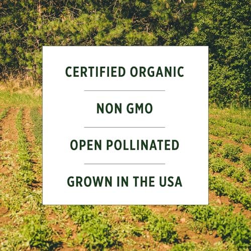 Banyan Botanicals Organic Bitter Melon Seeds (Momordica Charantia) – Easy-to-Plant Culinary Gourd with a Complex Bitter Flavor – 10 Count – Open Pollinated Non-GMO - Image 5