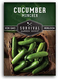 Muncher Cucumber Seeds for Planting - Low-Acid Slicing Cucumbers (1 Pack) by SurvivalGardenSeeds