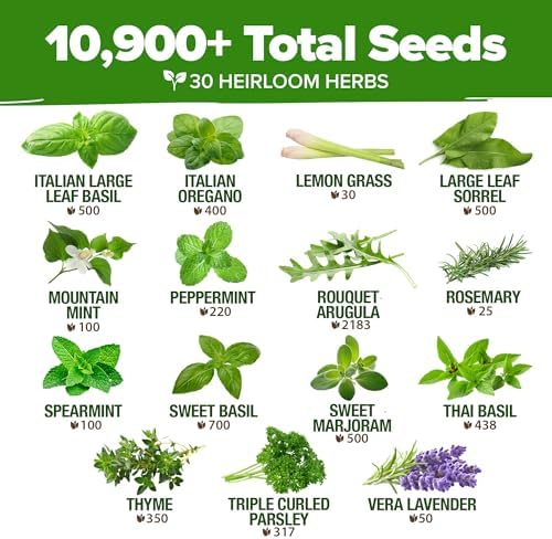 HOME GROWN 30 Herb Variety Pack 10,900+ Seeds Extra Large Culinary Kit - Image 4