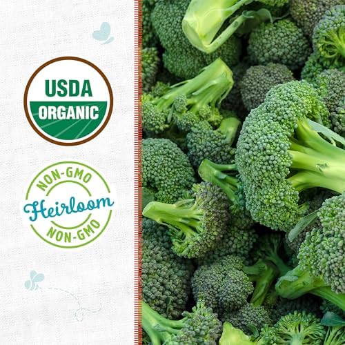 Back to The Roots 100% Organic Heirloom Seeds - Broccoli Value Pack (280mg) - Image 2