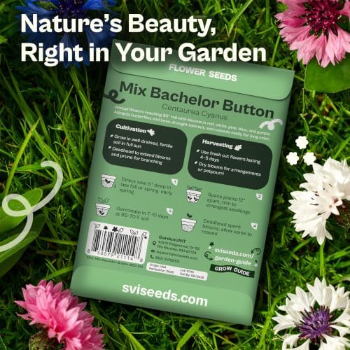 SVI 800 Bachelor Button Seeds for Planting (Centaurea cyanus) – Cornflower, Wildflower Mix Seed Packets – Heirloom Flower Seeds to Plant Outside in Garden, Borders, and Containers - Image 2