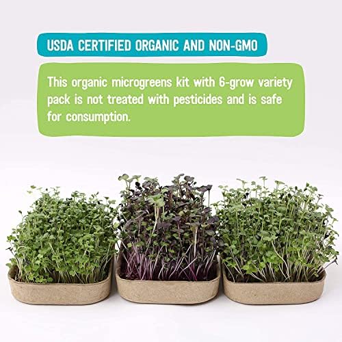 Back to the Roots DIY Microgreen Grow Kit, 6-Grow Variety Pack - Image 5