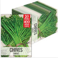 Seed Needs Garlic Chives Seeds to Plant an Herb Garden - 20 Packs by SeedNeeds
