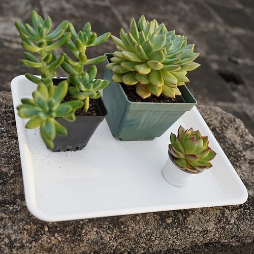 VUWEZ Plant Growing Trays 4 Pack, Plant Tray, 14.5"x11", Heavy Sturdy Plastic Plant Saucer Seed Trays, Seedling Starter Tray, Plant Drip Trays for Indoors, Seed Starter Growing Tray (Creamy White) - Image 7