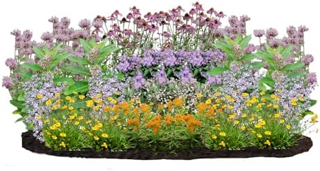 32 Live Outdoor Native Plants for Full Sun to Support Monarch Butterflies– Includes Purple Coneflower, Wild Bergamot, Butterfly Weed & More – Not Seeds – 4–8” Tall on Arrival – Easy to Grow Perennials by MyHomePark