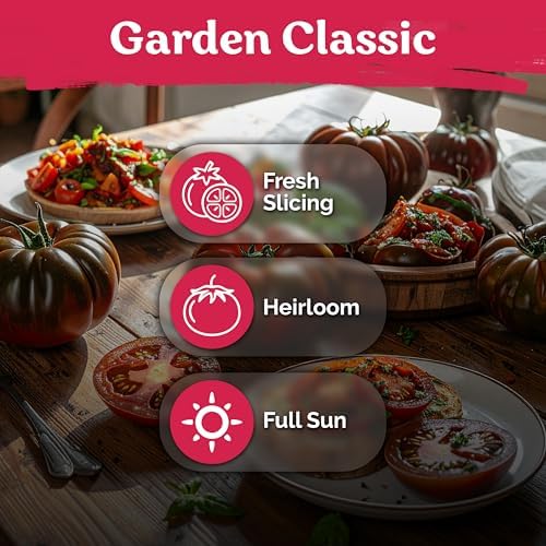 75 Cherokee Purple Tomato Heirloom Vegetable Seeds, Lycopersicon Esculentum - Image 6