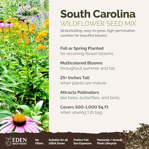 Eden Brothers South Carolina Wildflower Mixed Seeds for Planting, 1 lb - Image 2