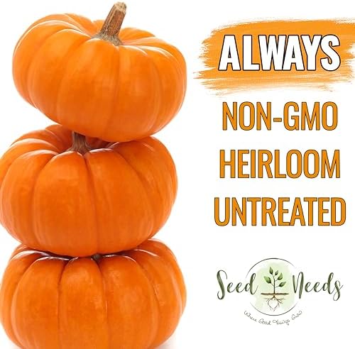 Seed Needs Pumpkin Seeds Variety Pack of 2 Non-GMO & Heirloom Mini Fruits - Image 5