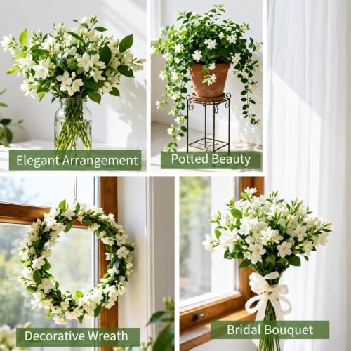 390+ Climbing Jasmine Seeds, Fragrant Perennial Flowering Vine for Outdoor Garden, Scented Blossom Patio Plant Value Pack - Image 6