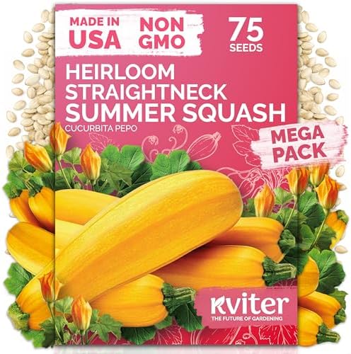 75 Straight Neck Squash Heirloom Vegetable Seeds, Cucurbita Pepo by KVITER