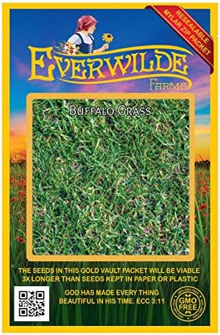 100 Buffalo Grass Native Grass Seeds - Gold Vault Jumbo Seed Packet by Everwilde+Farms