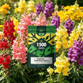 Snapdragon Seeds for Planting, Tall Mix Perennial Flower, 1500 Garden Seeds by Unknown