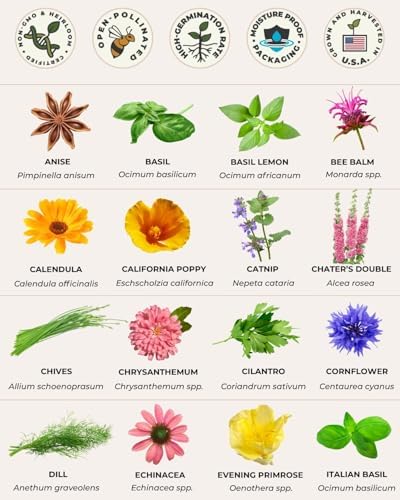 Tactiko Edible Flowers & Popular Herb Seed Kit - Image 5