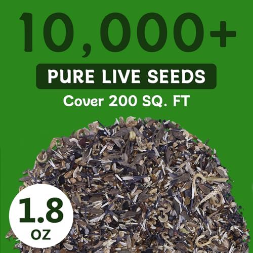 LUOJIBIE Wildflower Seeds Bulk, 10,000+ Flowers Seeds for Planting Outdoor, 16 Varieties Annual & Perennial Flowers Seeds Mix Color for Garden, 2 Oz Packet, Non-GMO, Attracts Pollinators, Easy to Grow - Image 6
