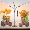 Tabletop Grow Lights for Indoor Plants, Seed Starting, Veg by FRGROWLEDGROWLIGHTS