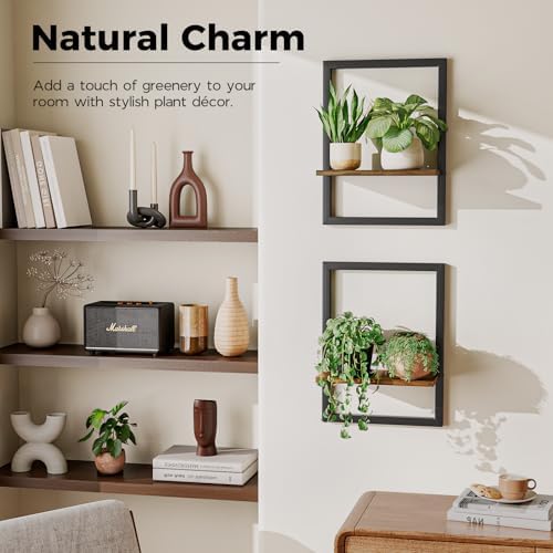 Bamworld Wall Plant Holder Hanging Planters for Indoor Plants Frames Decor - Image 3