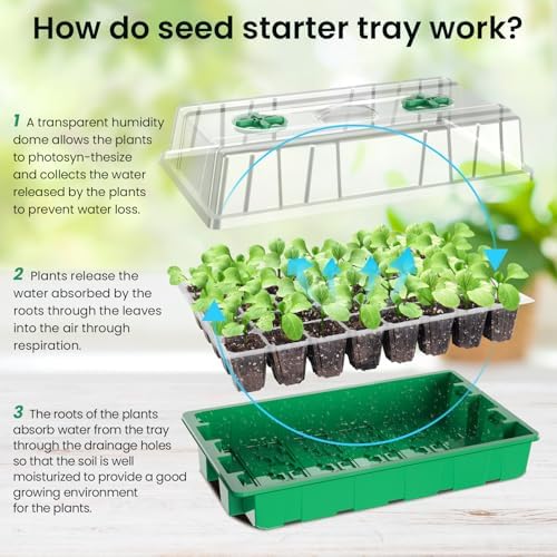 MIXC 2 Pack Seed Starter Tray with Grow Light, 80Cell Indoor Plant Grow Kit - Image 5