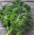 200+ White Russian Kale Seeds for Planting - Heirloom Non-GMO by Axel%27s+Garden+Seeds