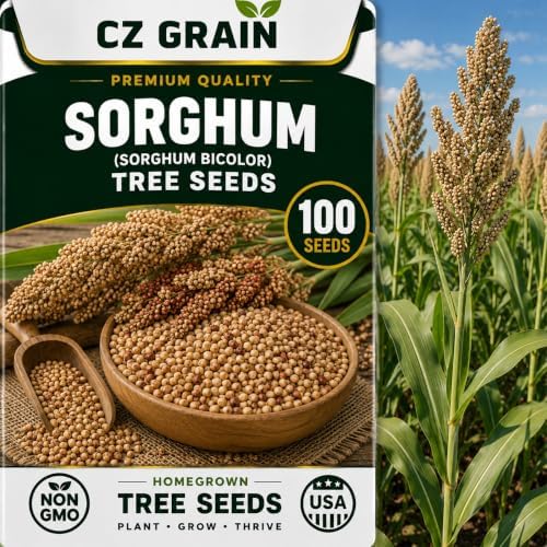Seeds for Planting, 100 Sourghum by CZGrain
