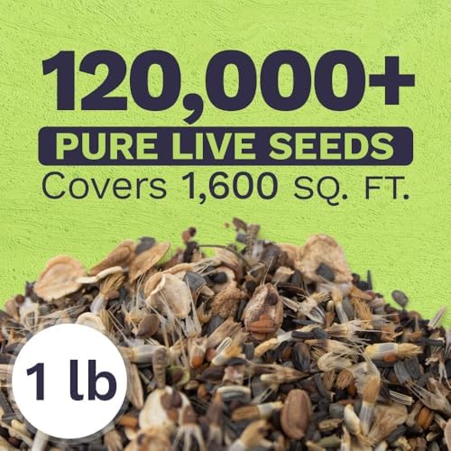 Drought Tolerant Wildflowers Mix – Bulk 1 Pound Bag – Over 120,000 Open Pollinated Non-GMO Seeds – 21 Different Dryland Species - Image 3