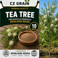 Seeds for Planting, 10 Te Tree by CZGrain