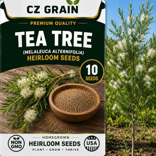 Seeds for Planting, 10 Te Tree by CZGrain