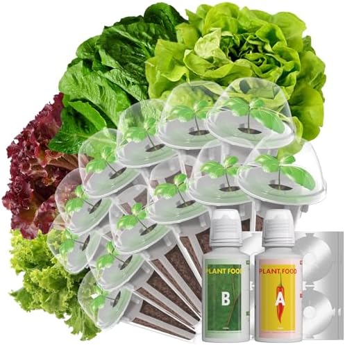 LYKOCLEAN Salad Romaine Lettuce Seed Pods for AeroGarden,Ahopegarden, iDOO Hydroponics Growing System,350 Seeds+ Including American Lettuce,Paris Island Cos,Buttercrunch (12-Pods) by LYKO