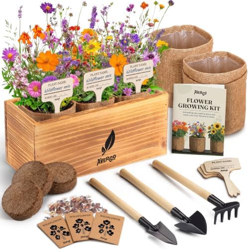 Wildflower Seed Mix Growing Kit by Plantingseedsgrowingdreams