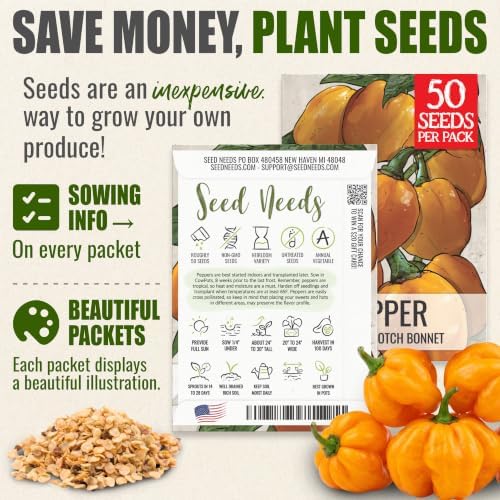 Seed Needs Scotch Bonnet Hot Pepper Seeds to Plant Vegetables - 10 Packs - Image 3
