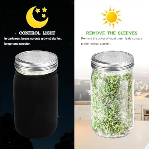 Organic Seed Sprouting Jar Kit – 2 × 32 oz Wide-Mouth Mason Jars - Image 3