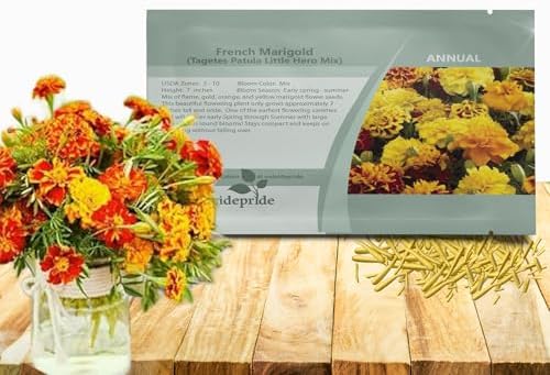 Outsidepride Little Hero Mix French Marigold Seeds - 150 Pcs Annual, Compact, Heat & Drought Tolerant Flower Seeds for Planting w/Attractive Bi-Colored Blooms, Ideal for Vibrant Pollinator Gardens by Outsidepride