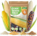 4 Corn Seeds Variety Pack - 200+ Heirloom Corn Seeds for Planting Outdoor, Includes Sweet Corn, Golden Bantam,Silver Queen & Glass Gem Corn, Perfect Home Garden Gift for Beginners, Mom, Her by Fruivity